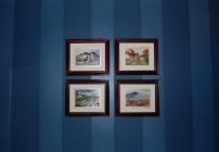 Stripes and Wainscoting